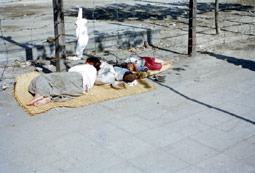 Refugees in Pusan, South Korea, in early June 1951