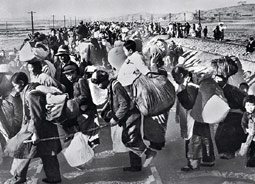 Korean refugees in Pusan