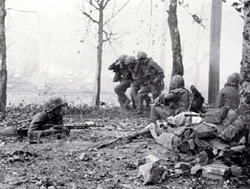 Marines carry a wounded comrade