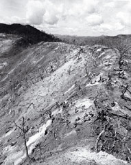 Bloody Ridge, occupied by survivors of the 9th Infantry Regiment